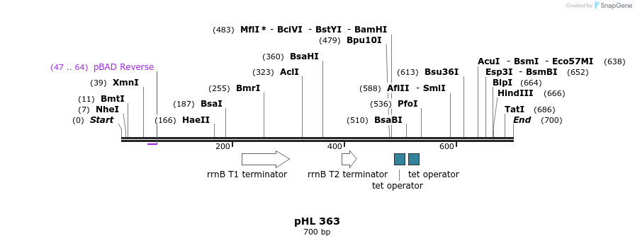 50328_map