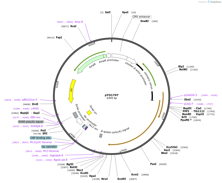 503301_map
