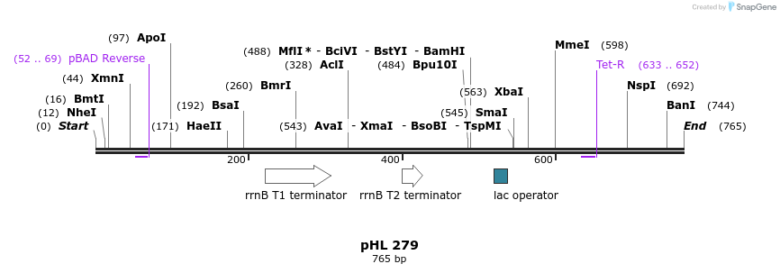 50331_map
