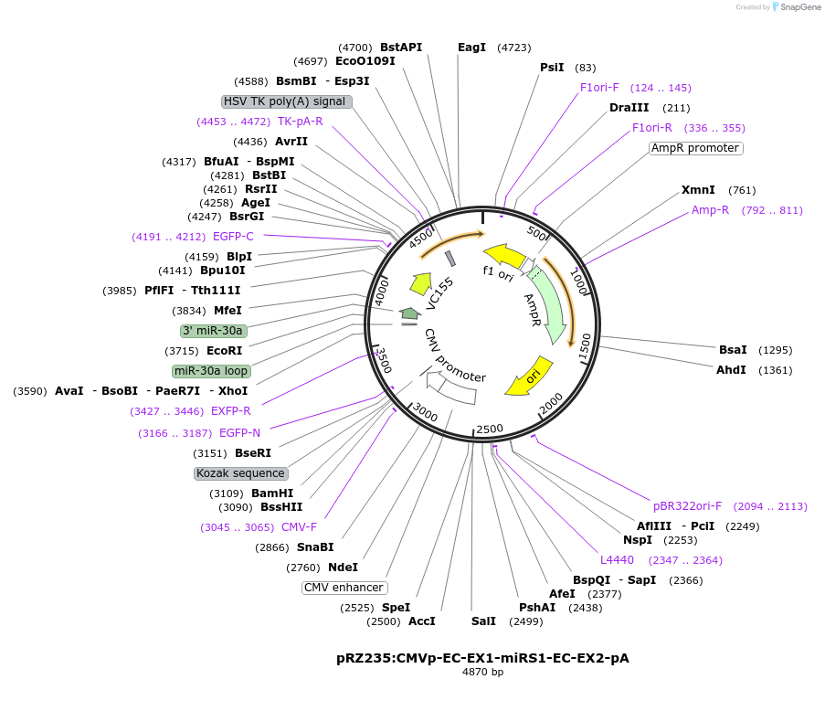 503323_map