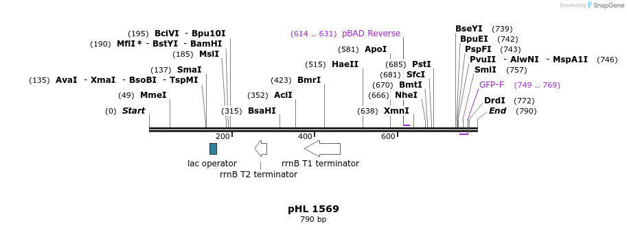 50333_map
