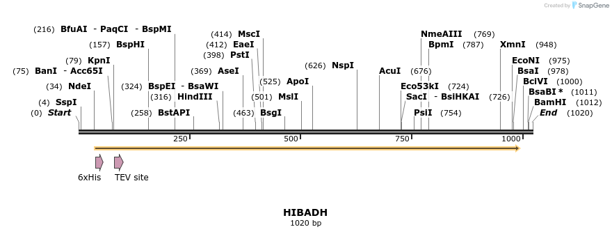 50334_map