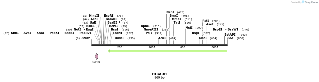 50335_map