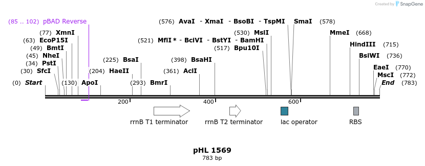 50339_map