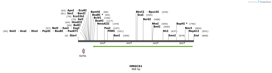 50348_map