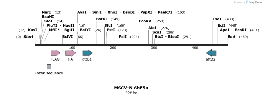 50351_map