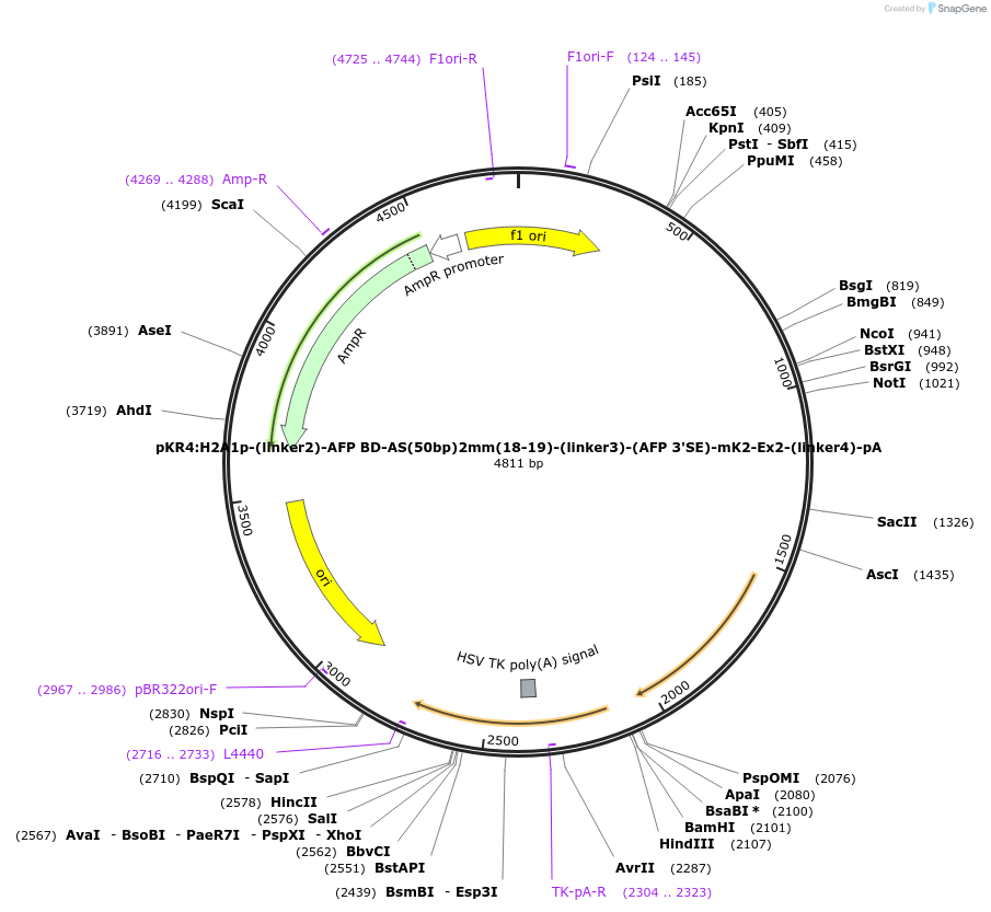 503511_map