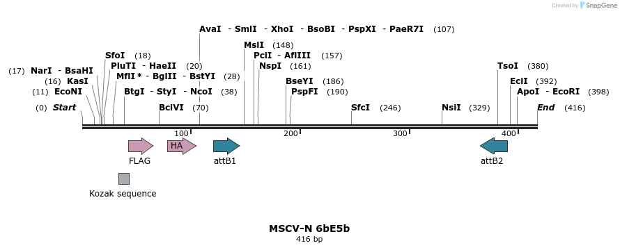 50353_map
