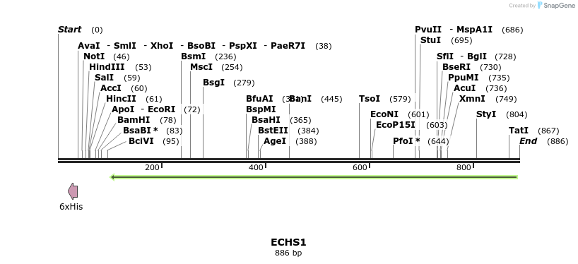 50358_map