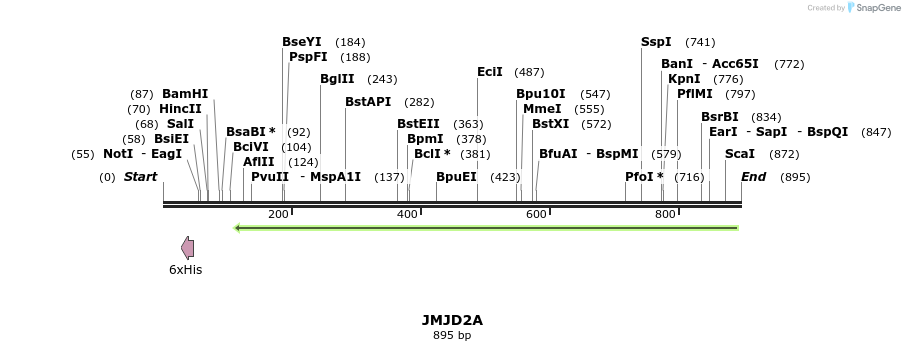 50360_map