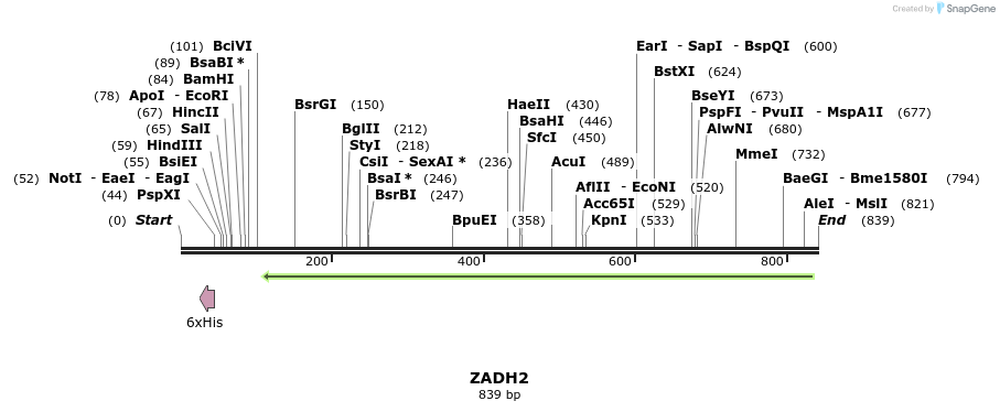 50363_map