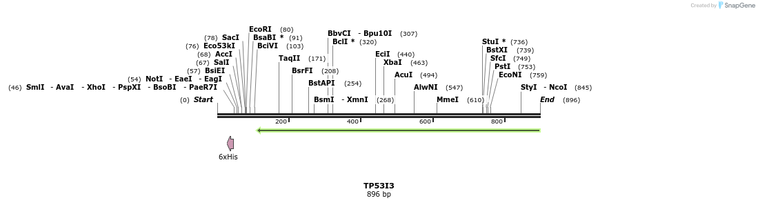 50366_map
