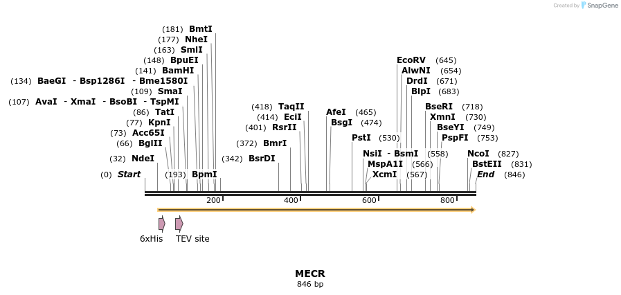 50368_map