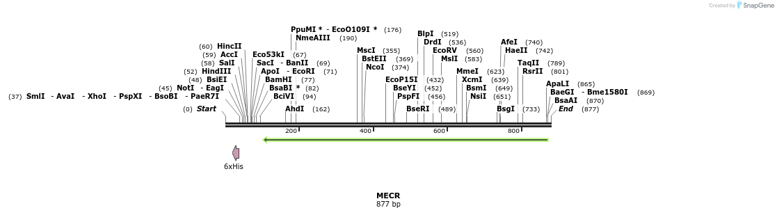50369_map