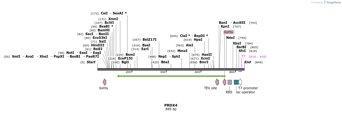50371_map