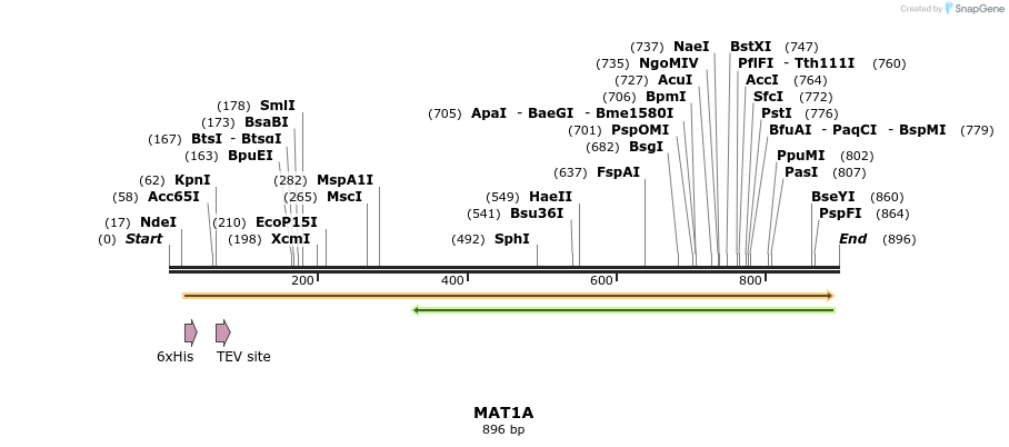 50372_map