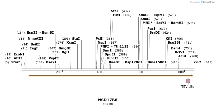 50376_map
