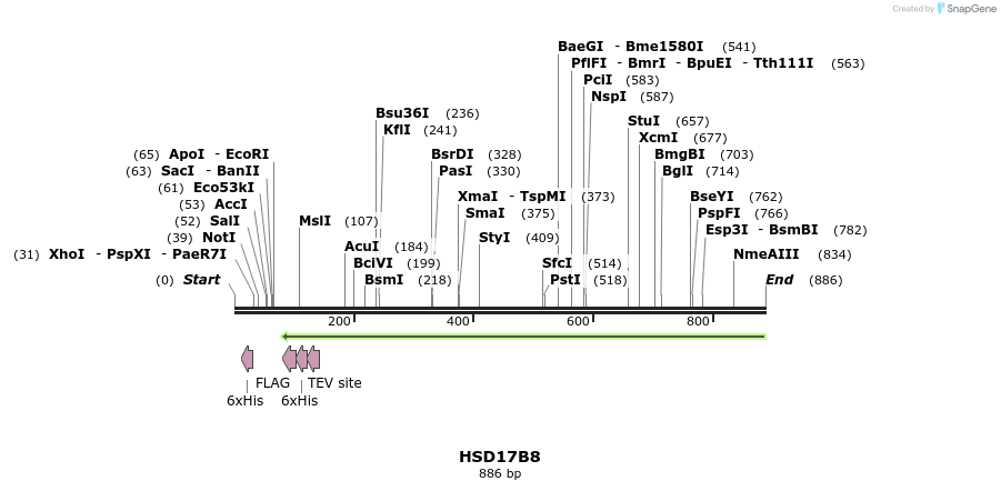 50377_map