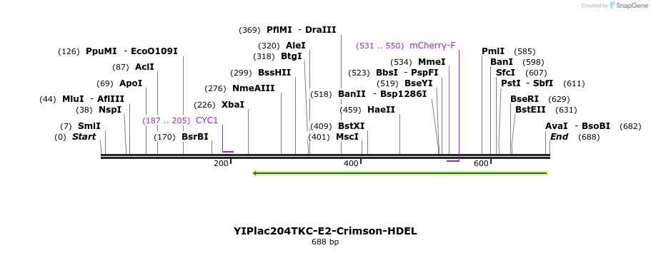 50378_map