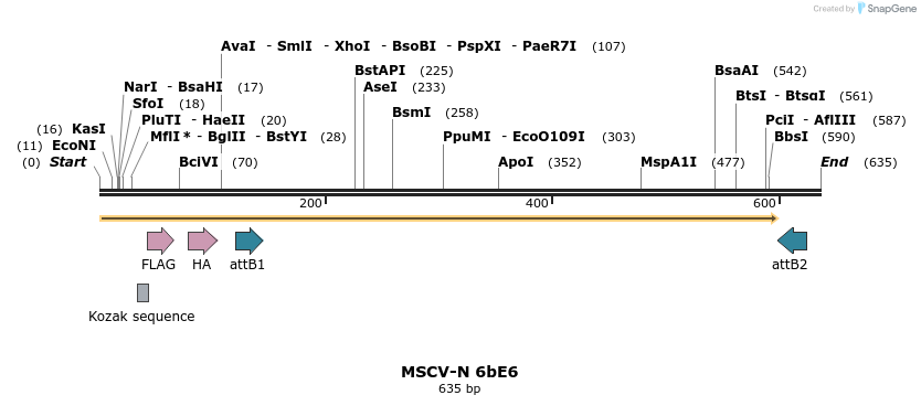 50388_map