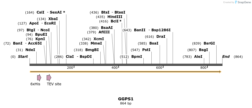 50390_map