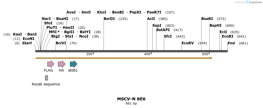 50394_map
