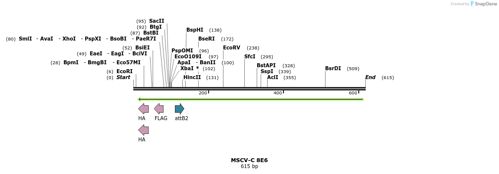 50398_map
