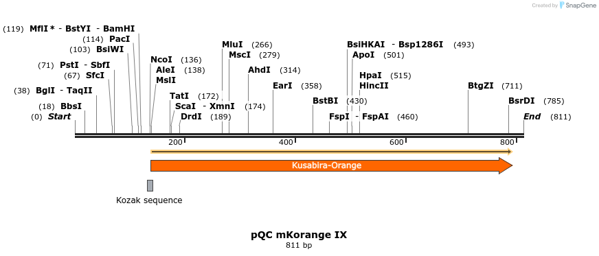 50400_map