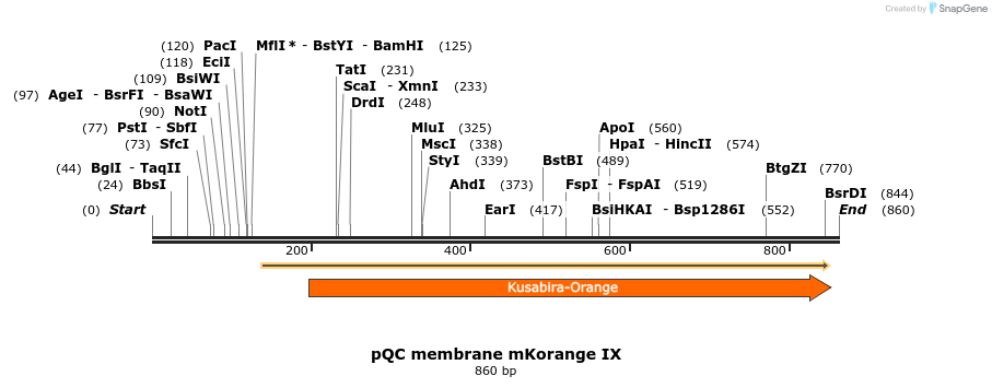 50401_map