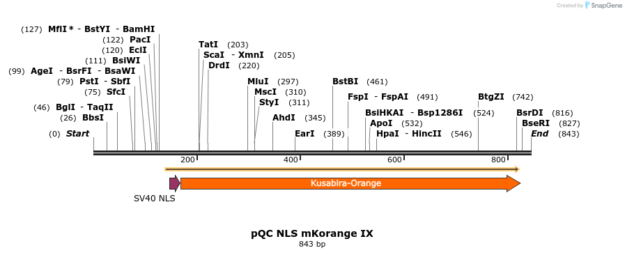 50402_map