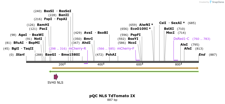 50403_map