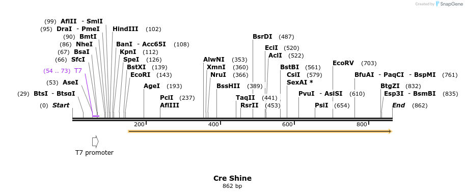 50407_map