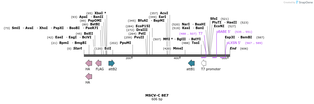 50408_map