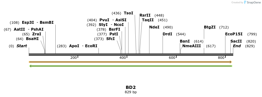 50412_map