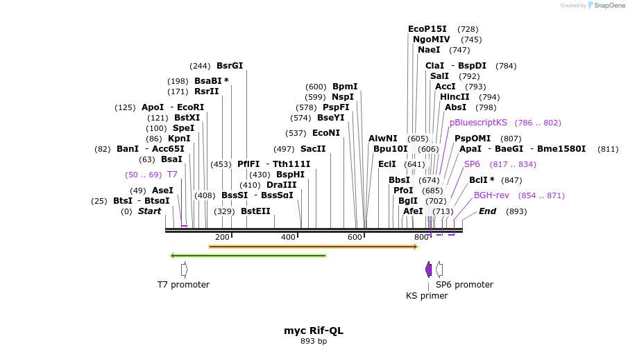 50413_map
