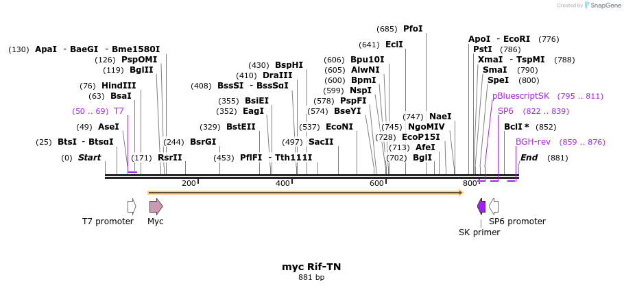 50414_map