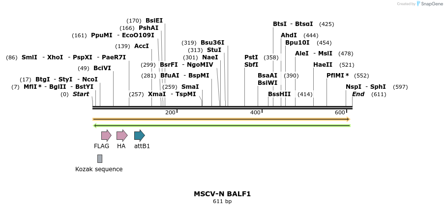 50415_map