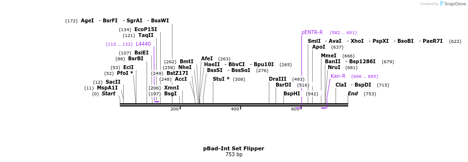 50424_map