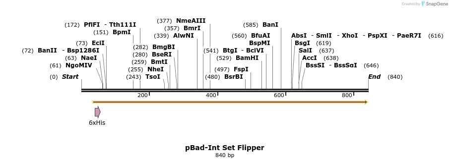 50425_map