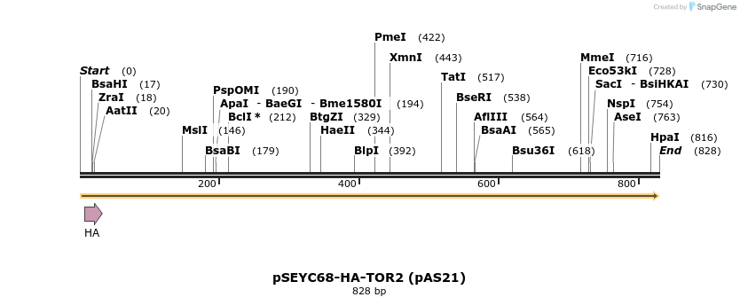50431_map