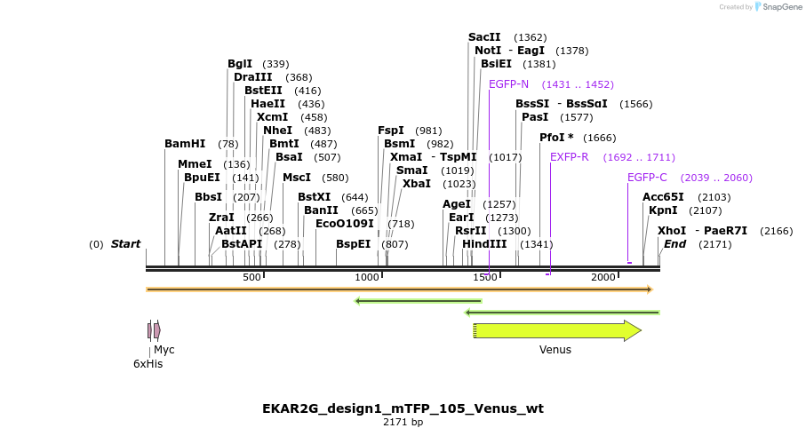 50433_map