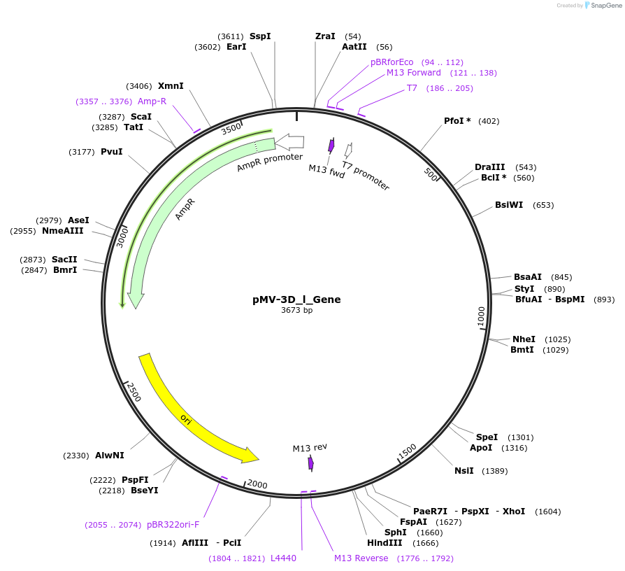253723-plasmid-map-sequence-id-504376