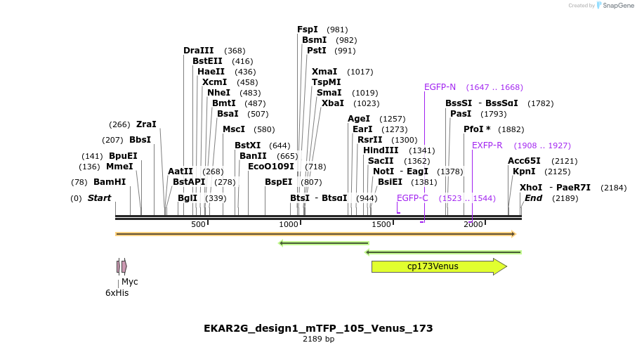 50438_map