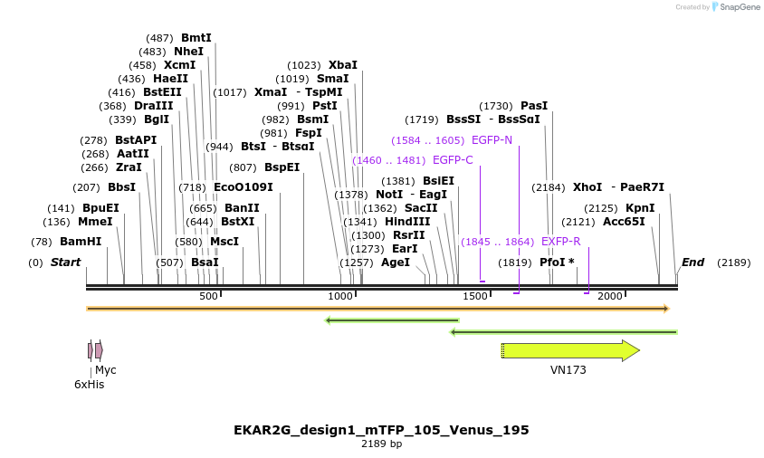 50439_map