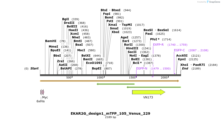 50440_map