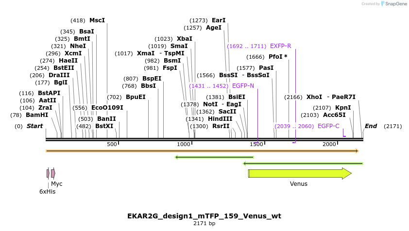 50441_map