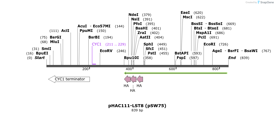 50445_map