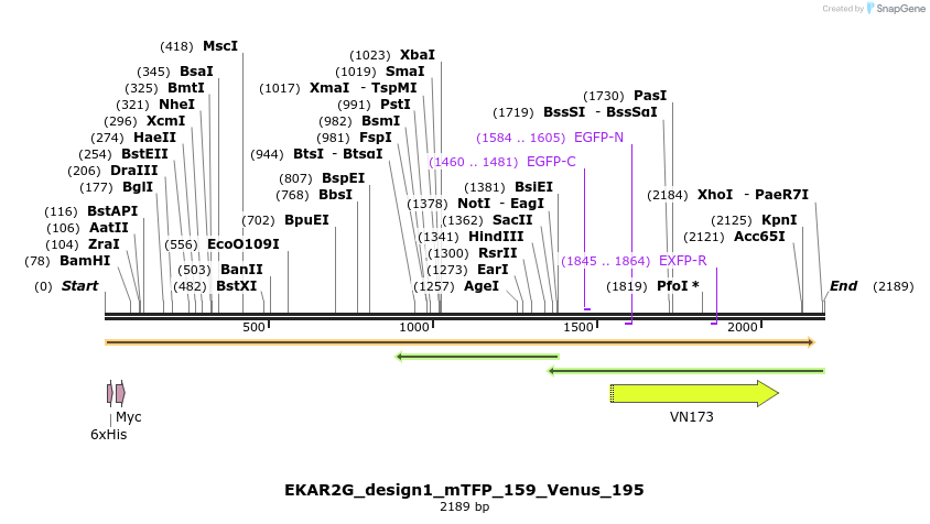 50447_map