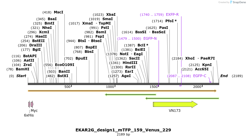50448_map
