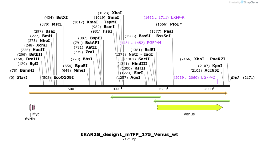 50449_map